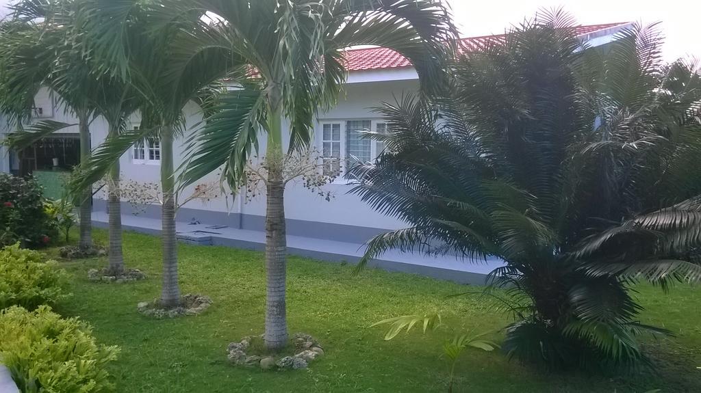 Fairy Hill Palms Apartment Port Antonio Exterior photo